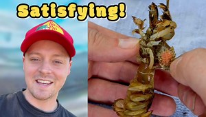 11K views · 84 reactions | In this video we encounter some sea animals and make some really satisfying sand slime with sand from the beach! | Jacob Colvin | Facebook