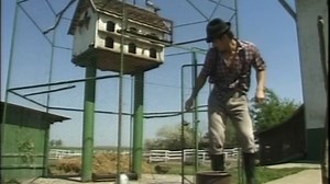 Young girl fucked wildly on the family ranch
