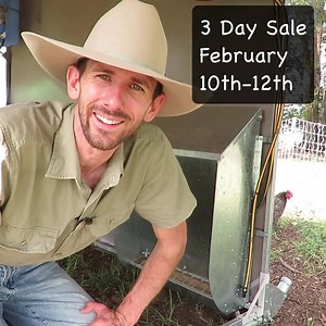 Wall mounted feeder | Chicken Caravan