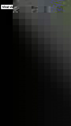 In a viral video, Mother falls from ladder while painting after being shot by son's toy gun. The boy shoots his mother with his toy gun because of which she loses her balance and falls on the sofa with paint. Her reaction is hillarious when paint falls on her face and her sofa is and the netizens are loving it. . . . . #instafun #instareels #reels #Instaviral #viral #viralvideo #Instavideo #reel #viralreel #mother #son #motherson #toys #painting #trending #latestvideo #instasons #bully #Bullying