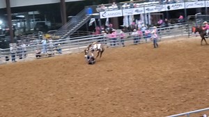 1.4K views | Pete Carr Pro Rodeo horse Stockyards Babe shows out Thursday at the Waller County Fair. | TwisTed Rodeo | Facebook
