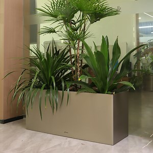 [Hot Item] Stylish Self-Watering Rectangular Planters for Indoor and Outdoor Use