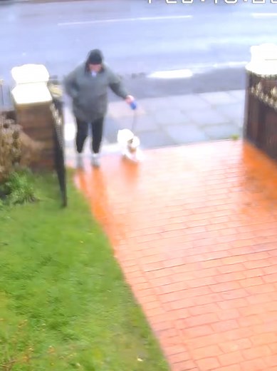 thelandlordsaid (@thelandlordsaid)’s videos with You're Fucked - Ylvis