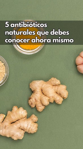 5 Poderosos antibioticos naturales que debes conocer ahora mismo. | Tu Guía Natural