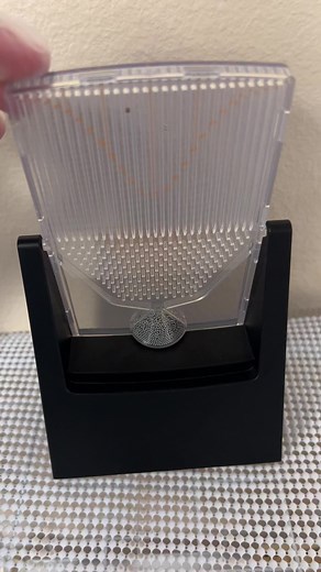 Bell curve | Stacy Wind