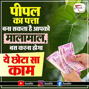 91K views · 292 shares | Peepal ke Patte ke upay in hindi | पीपल का पत्ता बदल देगा आपकी किस्मत, बस करना होगा ये छोटा सा काम #Peepal #Pipalkeupay #FicusTree #PipalKaPatta #Astrology #Peepalleafformoney #Kundlitv | KundliTv | Facebook