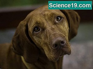 Kemijska i fizikalna svojstva čelika 💫 Znanstveno-Popularni Multimedijalni Portal. 2025