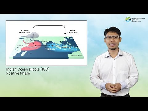 Fortnightly Weather Outlook - 16 to 31 Aug 2019
