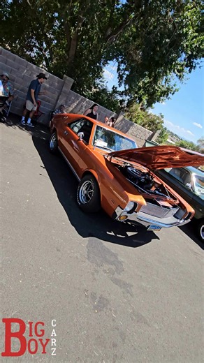 9.7K views · 693 reactions | Here is a 1969 AMC AMX in orange with a great engine at the 2024 Hot August Nights (Official) Car Show. #carshow #showcar #carcommunity #oldcars #classiccars #classiccar #americana #supershow #classiccarshow #oldschoolcars #coolcars #customcar #carshow2024 #carshow2025 | Big Boy Carz | Facebook