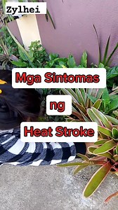 Mga Sintomas ng HEAT STROKE #heatstroke #heatstrokeprevention #HeatStrokeAwareness #healthylifestyle #health #healthyliving #healthtips #healthiswealth #healthychoices #healthtips4life #healthytips #awareness #facts #knowledge | Zyl Hei