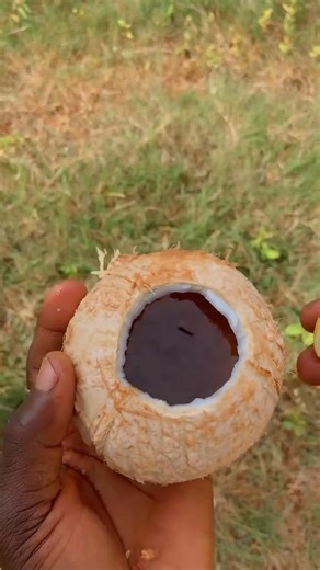 0256317850 | Nana Acheampong