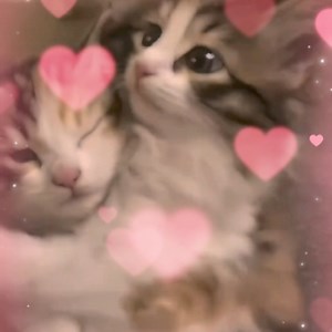 75K views · 3.4K reactions | chung ta cua tuong laiiii >< | MaiKa | Facebook