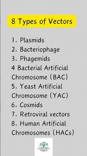 Vector types | Biotechnology #biologybloom
