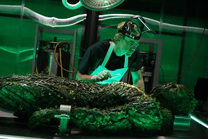 The CW boss on Swamp Thing's possible return and how COVID could affect episode counts