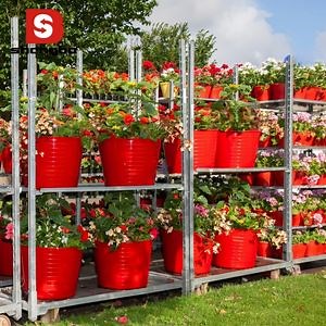 [Hot Item] Nursery Cart Greenhouse Seedling Large Capacity for Farm Garden