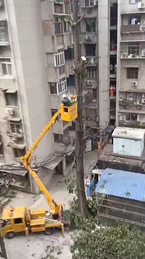 Incredible Teamwork | Giant Machine