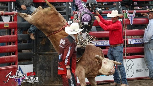 We got BULLS at the Jackson Hole Rodeo and that ain't no BULL July 1st 2023. | Jackson Hole Rodeo