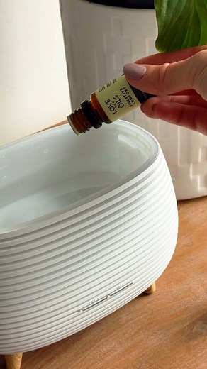 Gently transform your room into a peaceful haven with the LumiAroma Diffuser. 🧘‍♀️ Let the soft, continuous mist carry calming essential oils for up to 10 hours, soothing your senses without interruption. Choose a gentle hue from the seven ambient light options, breathe deeply, and simply be. Find your quiet space, anytime. Tap the link in our bio to know more. #lovethyoils #LumiAromaDiffuser #diffuser #homewellness #stressrelief #naturalremedies | Love Thy Oils