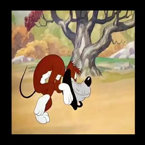 12K views · 627 reactions | The Heckling Hare | Allainn | Facebook