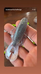 Googan Squad on Reels | Facebook