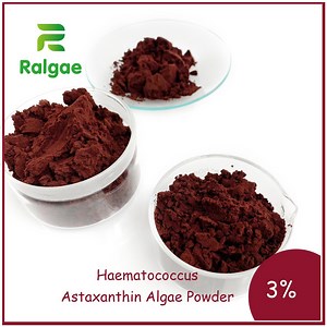 [Hot Item] Natural Haematococcus Algae Powder Astaxanthin for Pets Food