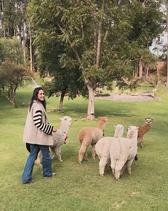 LopezJennyLopez Blog on Reels