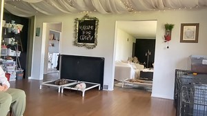 Rosie, Tank and Bailey Duration afternoons are the best | Imprinted Paws