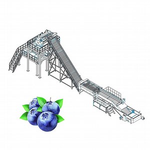 [Hot Item] Blueberry juice production line industrial blueberry processing machine