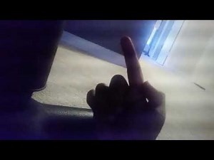 madly madagascar opening scene