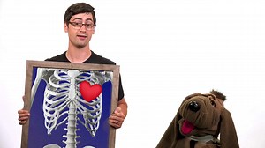 PROGRAM PENTRU COPII ÎN PREMIERĂ: „Lecții din Biblie cu pastorul Doug (sezonul 2)” - Joi, 28 noiembrie 2024, ora 09:30 Alăturați-vă pastorului Doug, lui Dusty, Ameliei și tuturor celorlalte personaje care studiază Biblia și învață cum se aplică aceasta în viața de zi cu zi. Jocurile, cântecele și câteva păpuși caraghioase îi vor inspira pe copii să îi urmeze și să intre în Cuvântul lui Dumnezeu. Dacă dorești să ai parte de o diversitate de filme și documentare creștine, canalul Alfa Omega TV est