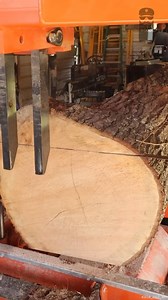 Turning a BIG Oak Into Homemade Lumber #sawmill #lumber #homemadelumber #makinglumber | Out of the Woods Forestry