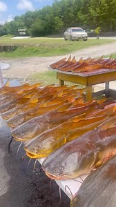 608K views · 4.1K reactions | Fish curry favourite … | Visit Guyana | Facebook