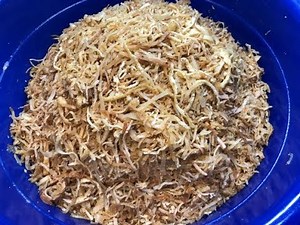 🇺🇸 Cách làm ( BÌ CHAY NGON HƠN BÌ MẶN ) GẤP 10 LẦN @CALI MON NGON DAN DA .