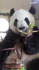 15K views · 266 reactions | Prince George of Cambridge on Reels | Facebook