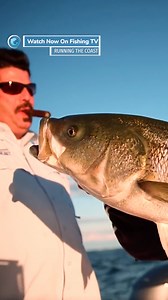 GIANT STRIPER! - Running The Coast The Striped Bass is almost certainly the most revered and sought after saltwater species in North America, and this epic, near 3hr film delves deep into the subject of angling for these hard fighting fish. Follow the link to watch Running The Coast on Fishing TV now! https://www.fishingtv.com/video/running-the-coast/ #fishing #FishingTV #seafishing #bassfishing #stripedbassfishing #striper #striperfishing #runningthecoast | Fishing TV | Facebook