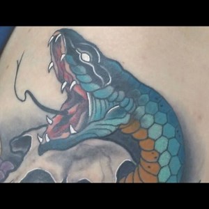 It's not the bite of a snake 🐍🐍🐍 that kills you, it is the poison ☣☣☣ left behind...!!! ☣☠ Here's the video of the neotraditional snake and lion tattoo that i finished a few weeks ago! Already got some healed pictures and can't wait to post a fresh and healed comparison!!! 😜😎 #neotraditionaltattoo #tattooreveal #snaketattoo #lionskulltattoo #tattoovideo #worldfamoustattooink #colortattoo #chriscosmostattoo | Chris Cosmos Tattoo Studio Limassol (Christos Tziortzis)