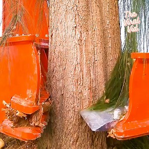 The Incredible Tree-Cutting Excavator Attachment | The Viral Vid