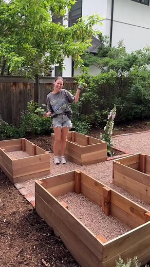 I built these cedar garden boxes earlier in the week with my dad & today i woke up at 6am to fill them with veggies 👩‍🌾!! this is definitely my favorite part of our backyard transformation 💚 #vegetablegarden #vegetablegardening #veggiegarden #gardenproject #gardentok #gardendiy #gardenbox #raisedgardenbed #backyardgarden | Garden Design Ideas