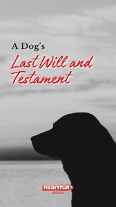 A Dog's Last Will and Testament. #doglover #dog #pet #doglife | iHeartDogs
