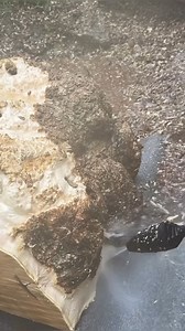 2.1K views · 17 reactions | removing the bark from a burl maple | Belko Wood | Facebook