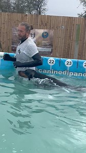 Doberman Reeba is coming on in leaps and bounds with her swimming, we’re so proud of her as she was so terrified at first 🐾💕💦🇬🇧 | Canine Dip and Dive Maldon