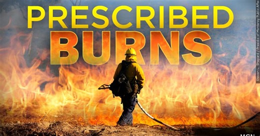 Apalachicola National Forest team conducting 14,000-acre burn in Wakulla County