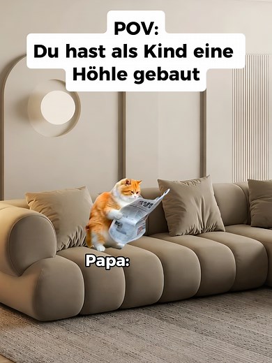 Kindheitstraum: Mit Katzen eine Höhle bauen