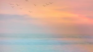 412K views · 9.9K reactions | Que Va Que va - Ozuna | Tú Miusick | Facebook