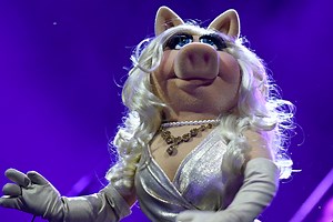 Woman Arrested for Attacking Child Who Called Her 'Miss Piggy' on Flight