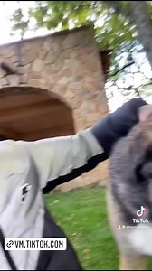 5.3K views · 1.1K reactions | Alejandro Sanz  | Corazón Partío Oficial | Facebook