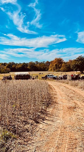 Beautiful day at the pumpkin patch! 🎃 | Eagle Fork Pumpkins & Gifts