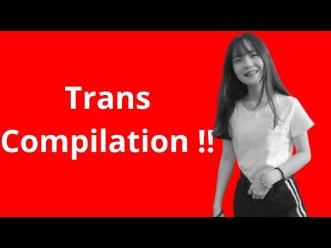 Best trans compilation