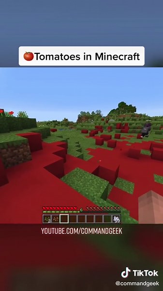 commandgeek on TikTok