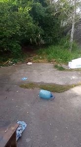 #EXCLUSIVO #EM_ITAPEMA #CHACINA #MASSACRE #ASSASSINO TEVE NOITE DE FÚRIA E MATOU TRÊS MORADORES DE RUA COM UMA BARRA DE FERRO: O crime aconteceu na rua 1106 atrás da Polícia Rodoviária Federal, no local foi encontrado o corpo de Noel Oliveira. A polícia militar foi acionada por uma testemunha que disse que o assassino estaria nas proximidades. a guarnição foi ao local e encontrou outros dois corpos sendo uma mulher e outro homem que ainda não foram identificados. A guarnição fez uma varredura no